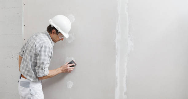 Best Mold Remediation for Rental Properties  in USA